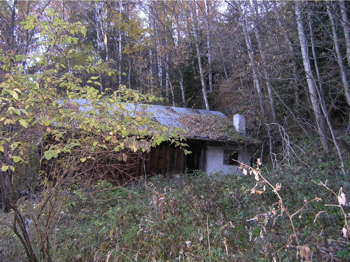 Mayen à Vercorin